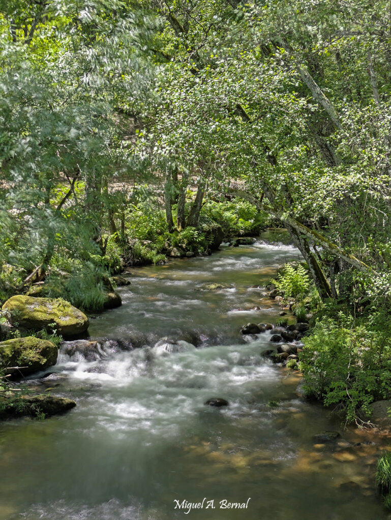 Río Francia Ruta senderismo