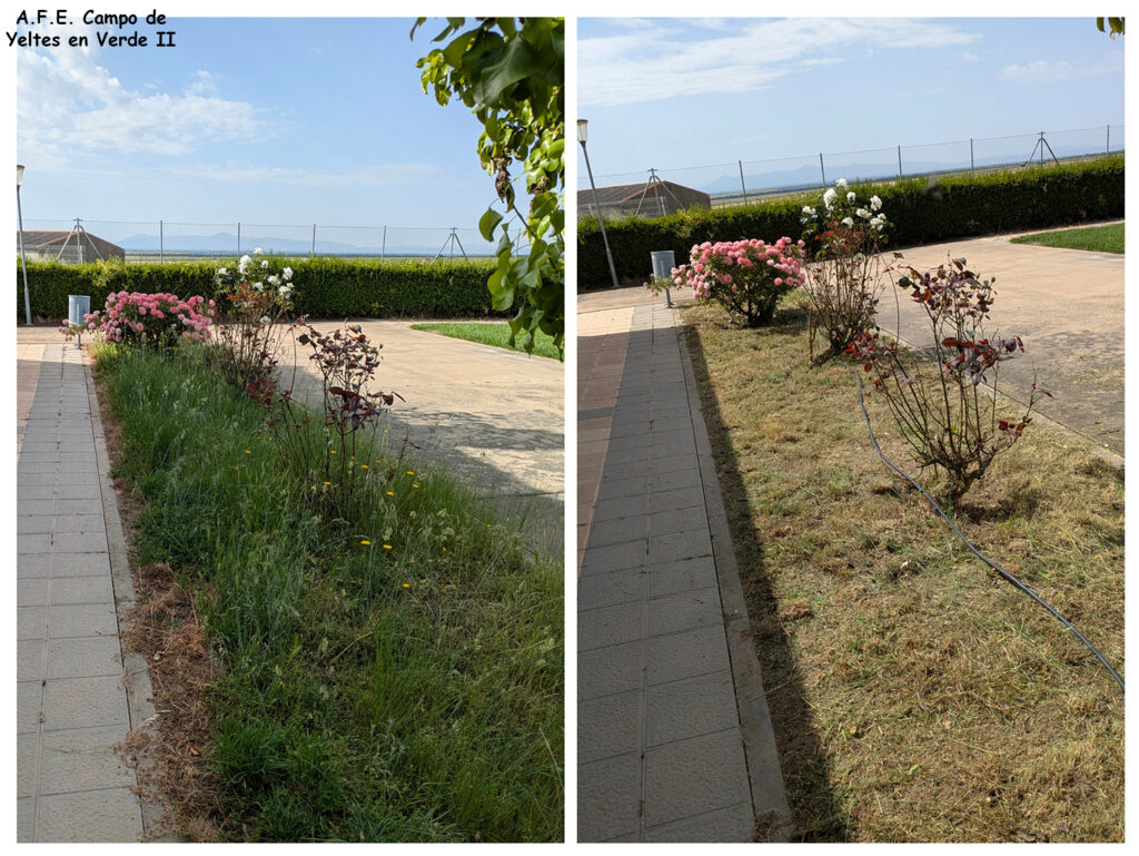 Jardines Residencia Boada