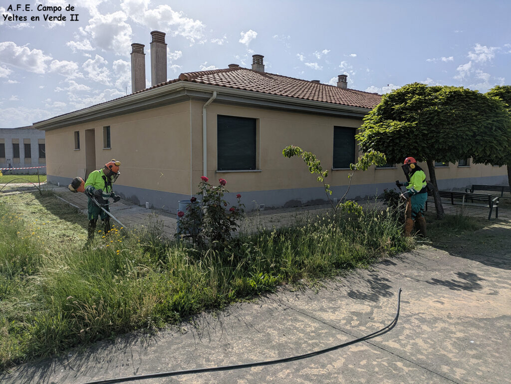 Mejora Jardín Residencia Boada