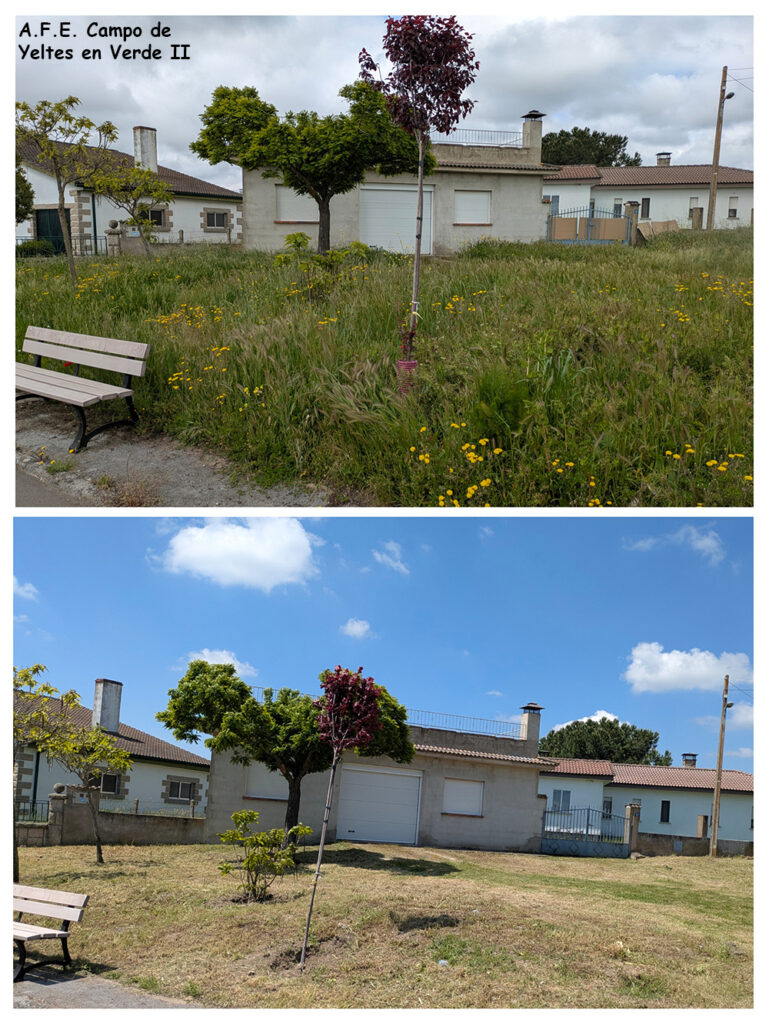 Trabajos realizados jardines Boada