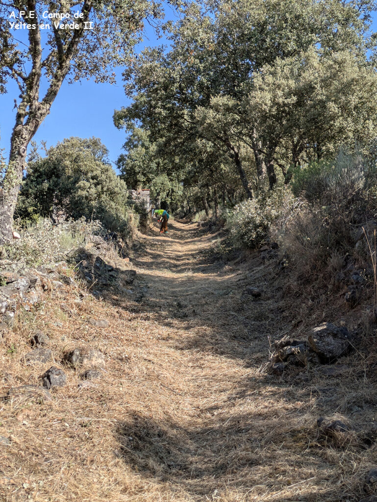 Desbroce callejas BTT Retortillo
