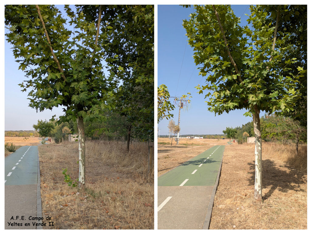 Carril bici Sancti Spíritus