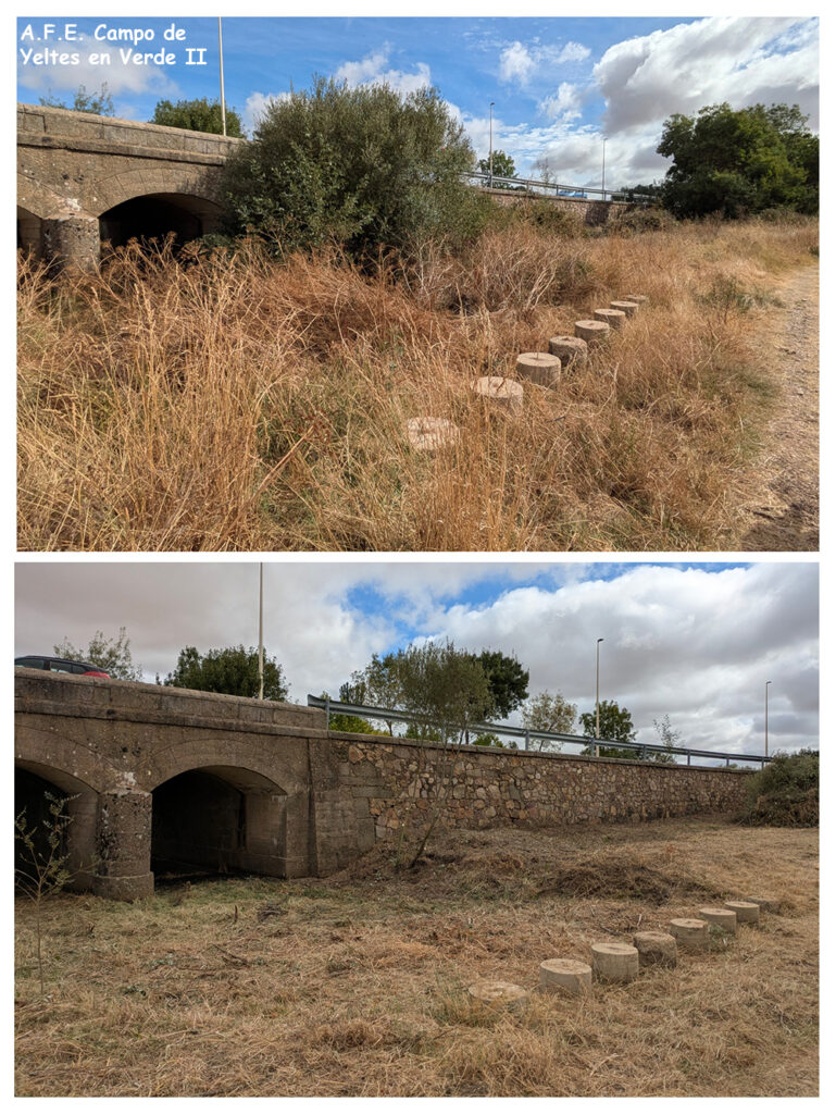 Desbroce Arroyo Mata fraile