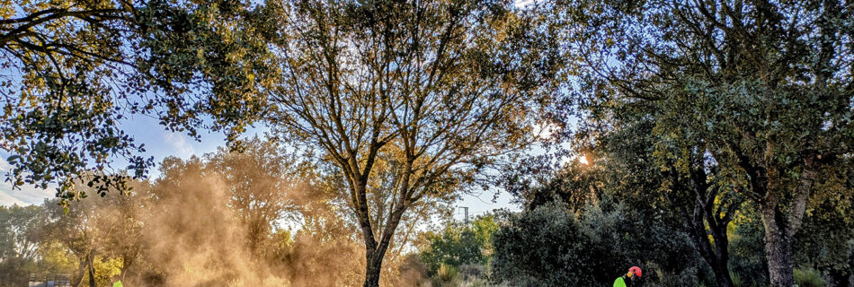 Trabajos Desbrozando Yeltes Verde