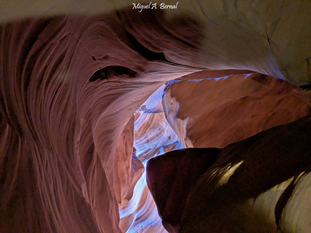 Page Arizona Antilope