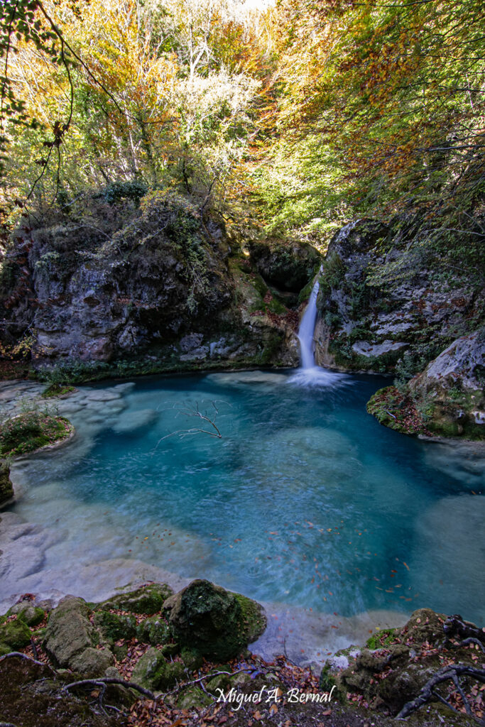 Bosques naturaleza Urederra
