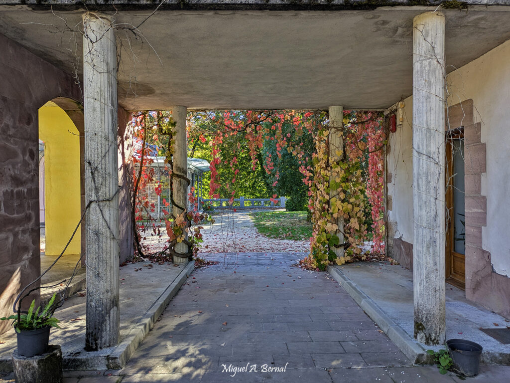 Entrada otoñal Bértiz