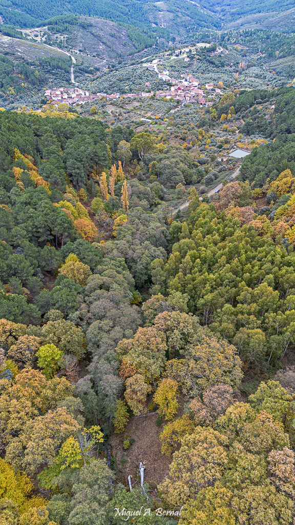 Haya Herguijuela Sierra