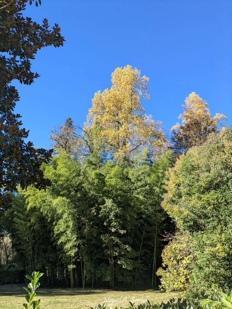 Jardín Señorío Bértiz