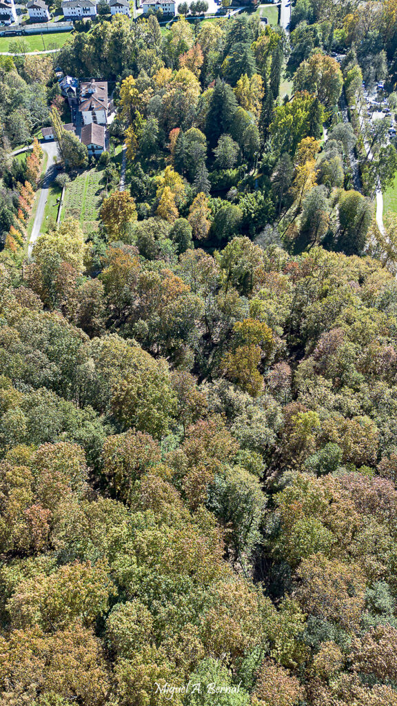 Vista aérea Parque y Jardín