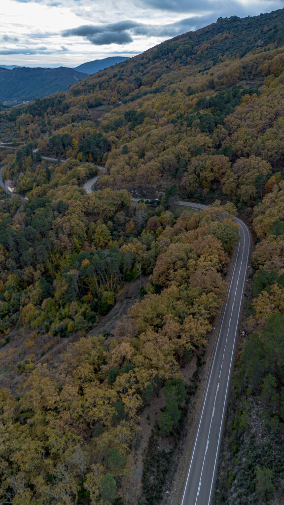 Carretera Alberca Sotoserrano Otoño