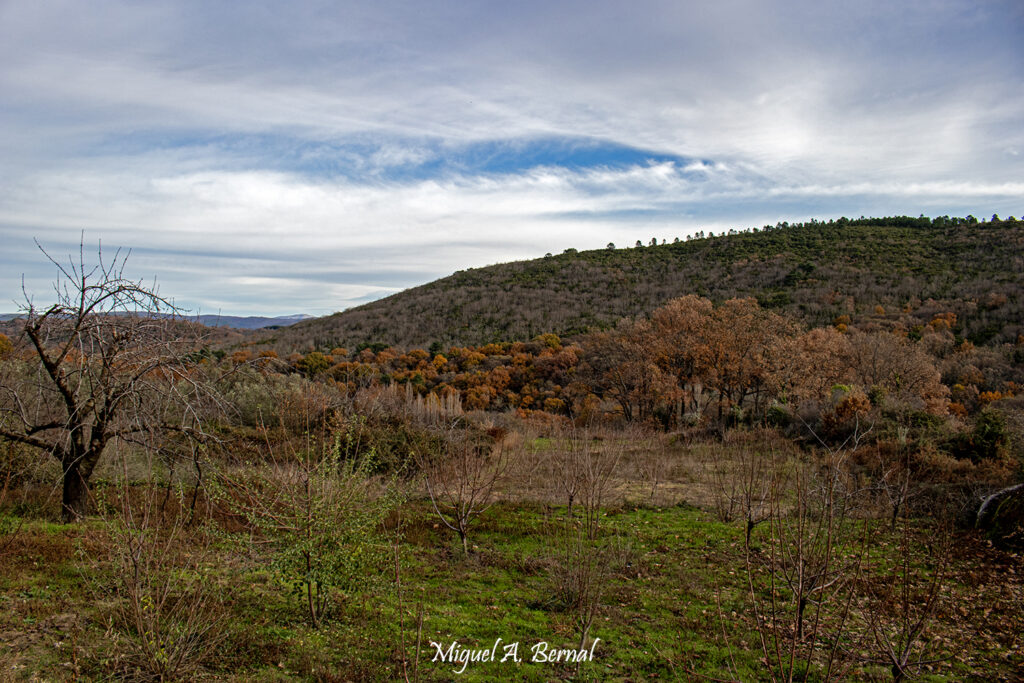 Mil colores Sierra de Francia