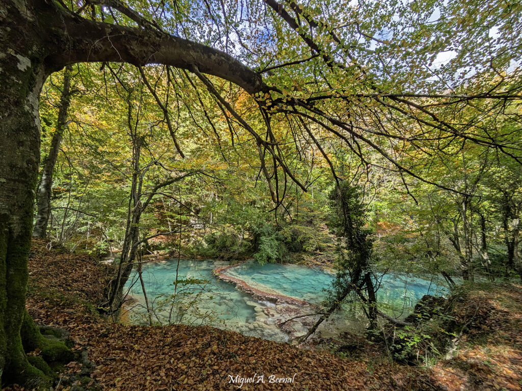 Que ver Nacimiento Urederra