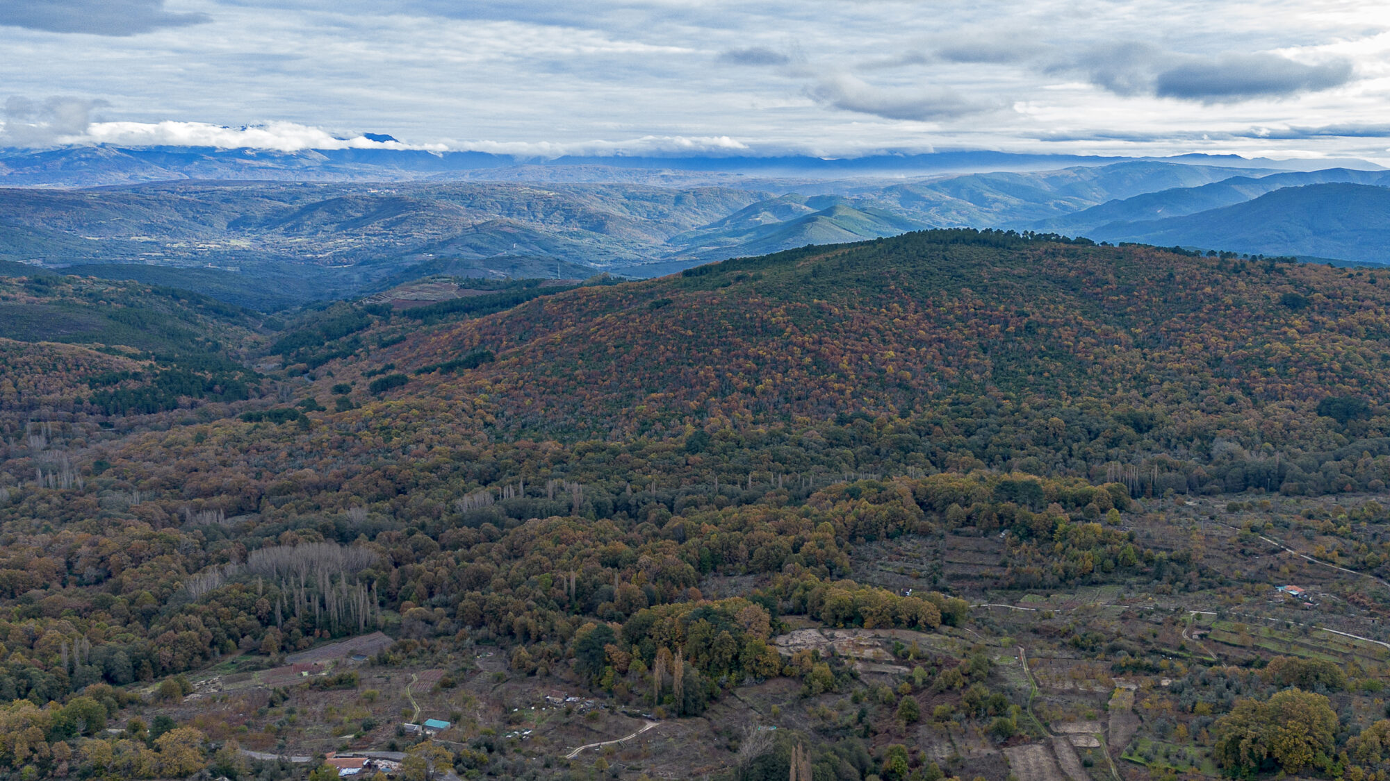 Que ver Otoño Sierra Francia
