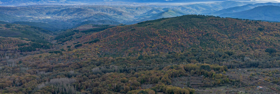 Que ver Otoño Sierra Francia