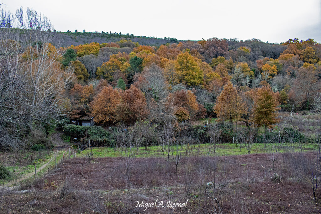 Senderismo 1000 colores