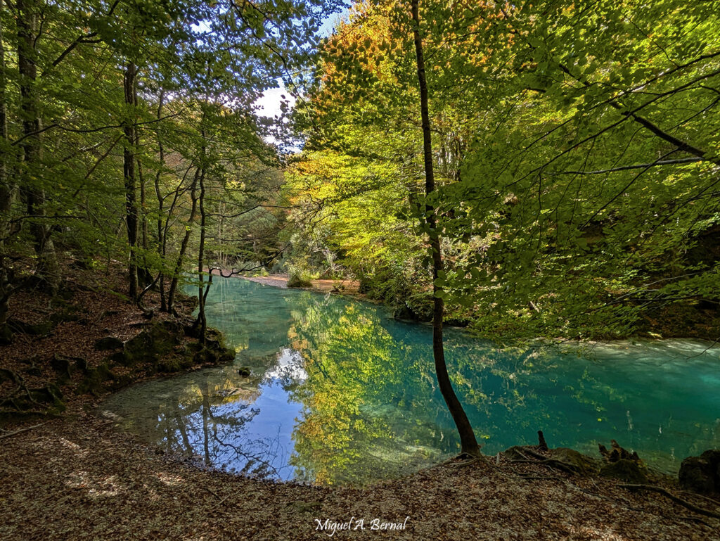 Visita turismo Urederra