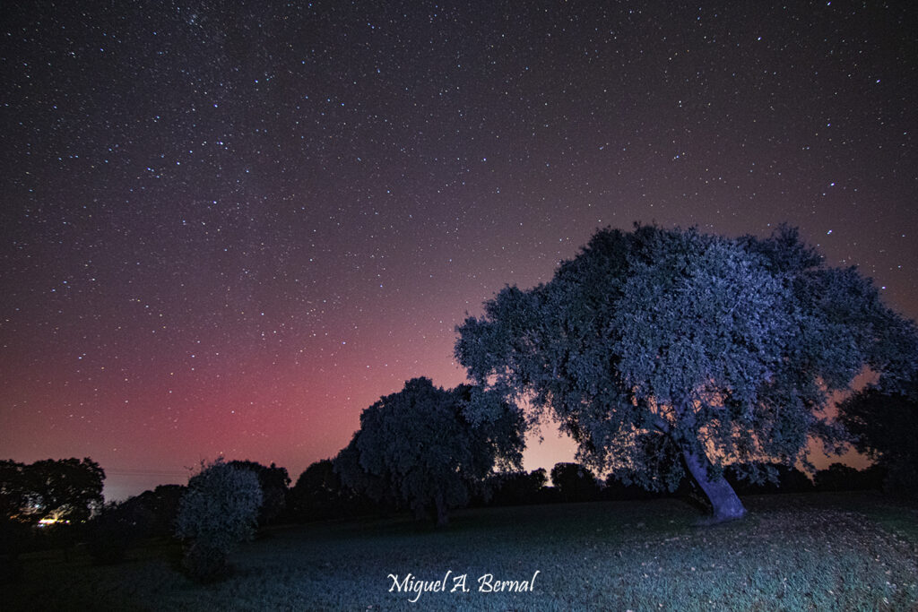 Aurora dehesa Salamanca