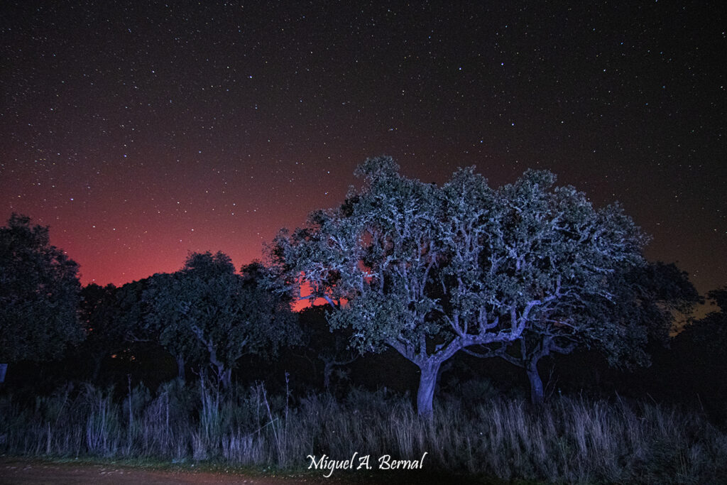Aurora encinar Salamanca