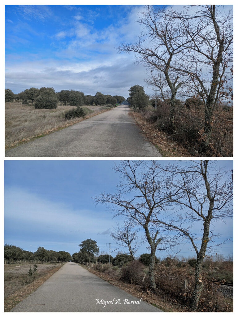 Carretera Finca Iberdrola Fuenterroble