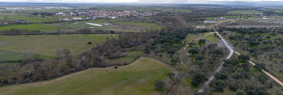 Dron vuelo merendero encinas