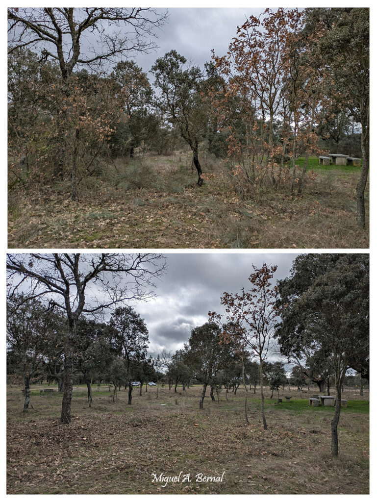 Merendero Encinas Sanctis