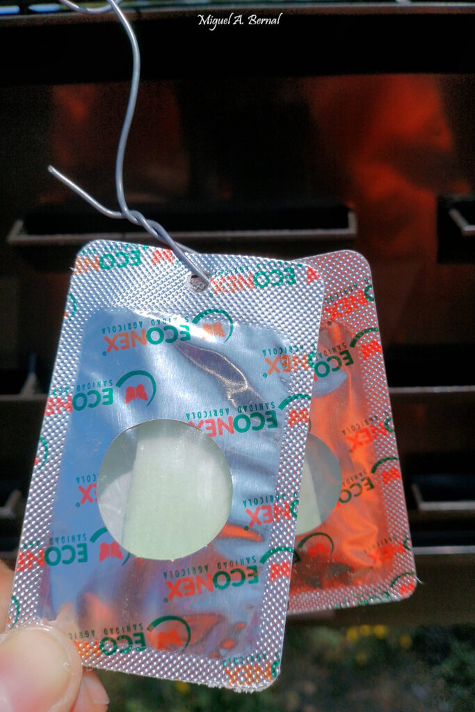 Feromonas compra Ips sexdentatus