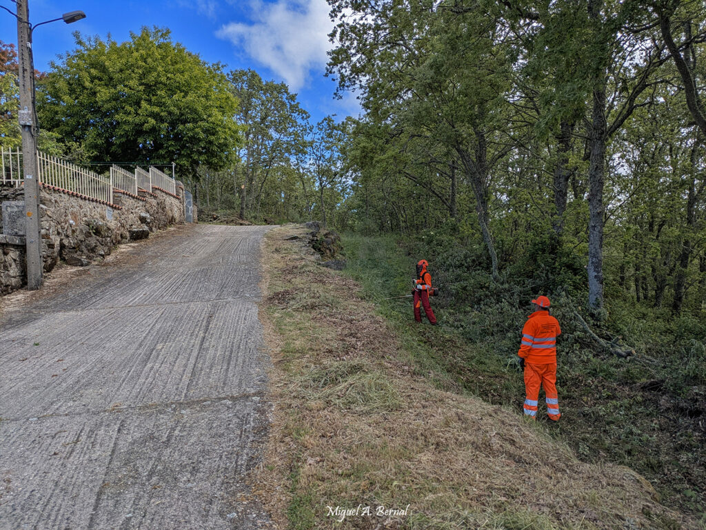 Desbroces prevención incendios Peñaparda