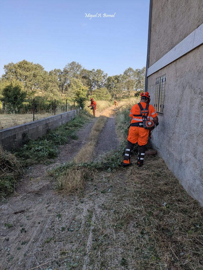 Desbrozando callejas Villasrubias Salamanca