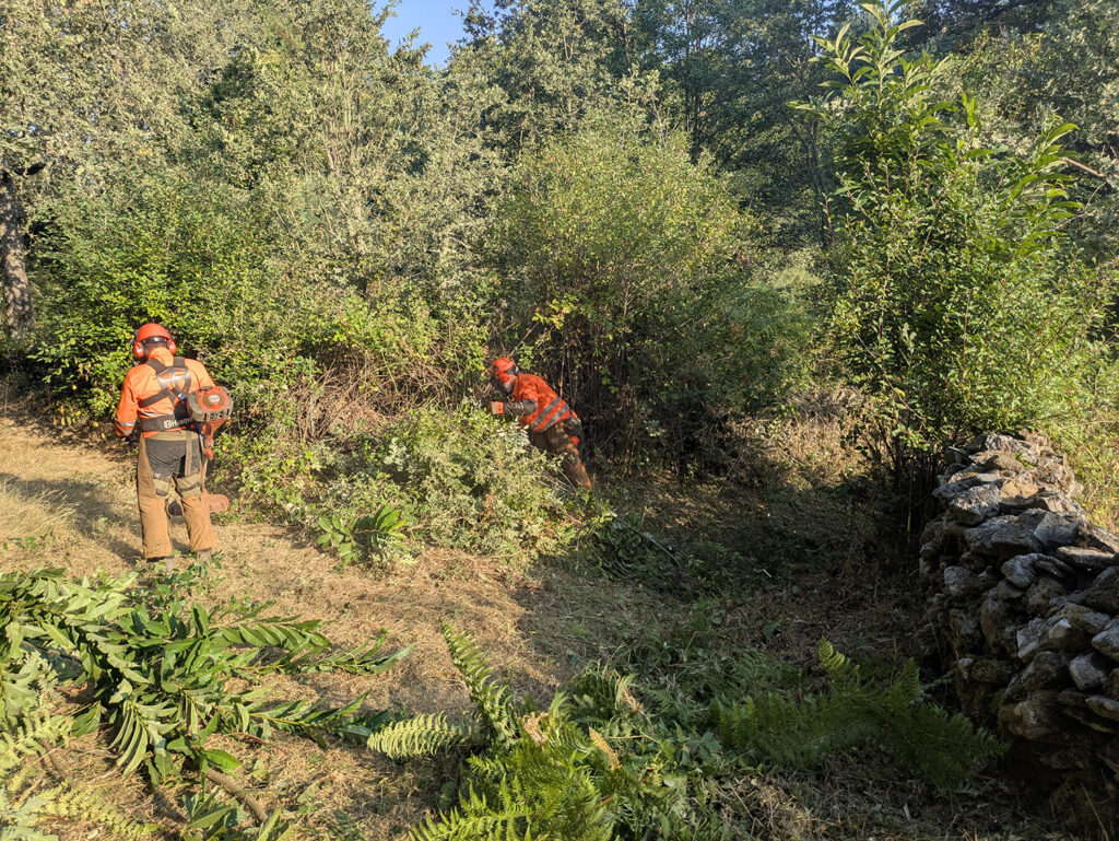Apertura de callejas Río Águeda