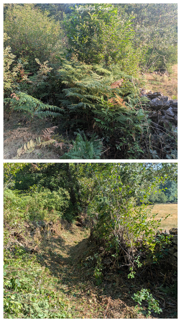 Calleja acceso Río Águeda