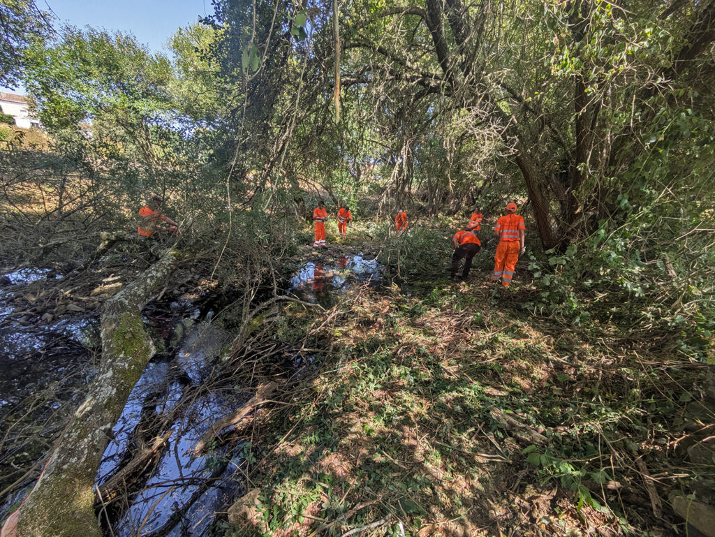 Trabajos forestales Río Águeda