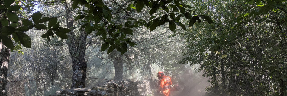 Trabajos forestales en Navasfrías