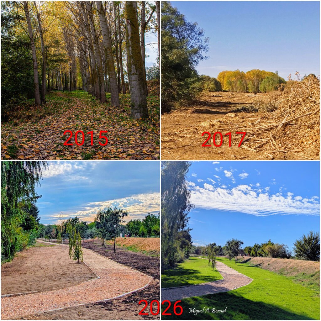 Obras en la Alameda Moretona Río Águeda Ciudad Rodrigo