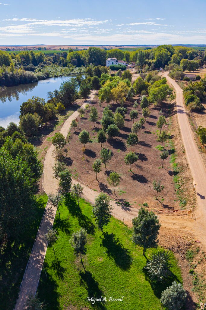 Césped sembrado en El Paraje junto al río Águeda