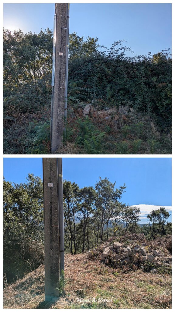 Desbroces forestales para la prevención de incendios en el monte de El Payo