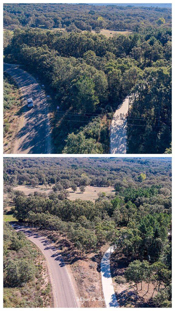 Trabajos de mantenimiento de monte, fotografía desde dron