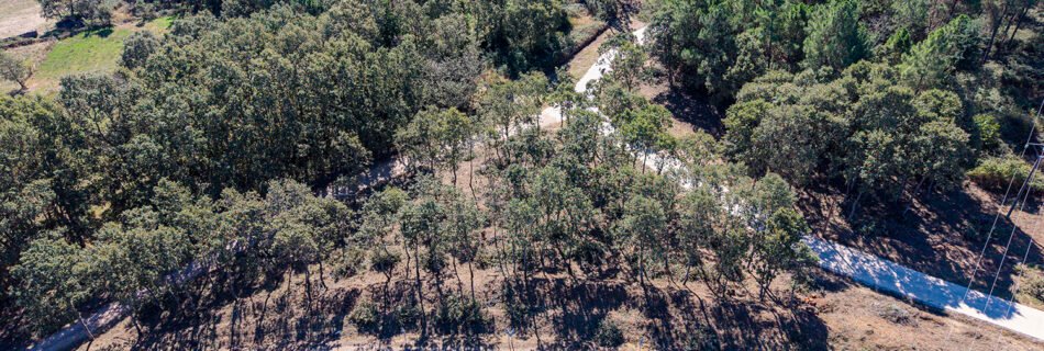 Trabajos forestales en El Payo para la mejora y mantenimiento del monte