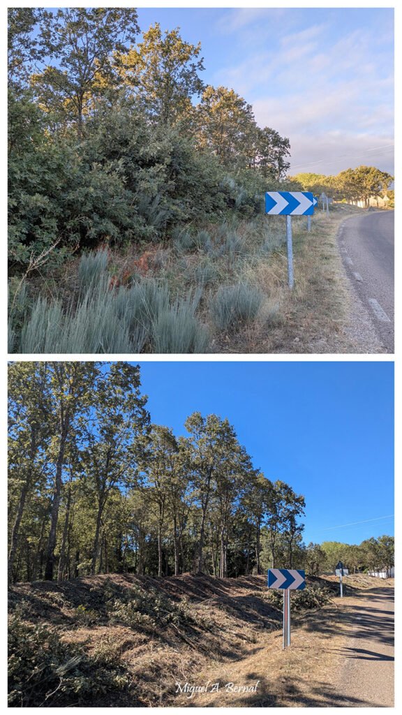 Trabajos silvícolas en carretera de El Payo en Salamanca